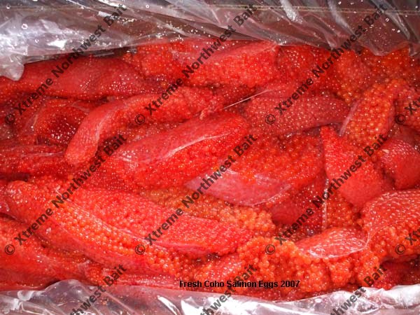 Fresh Salmon Egg, Fresh Salmon Roe, Xtreme Northwest Bait Co